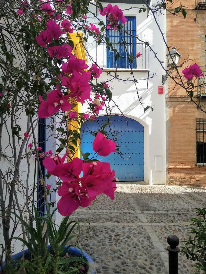 Apartamento Wish Juderia De Sevilla